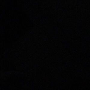 Meet your Posher, Anne